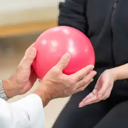 トレーナーの募集