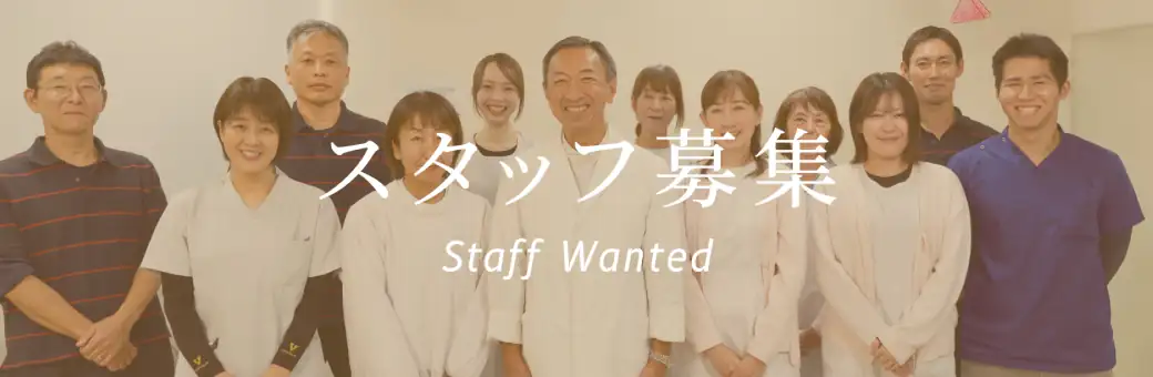 採用情報